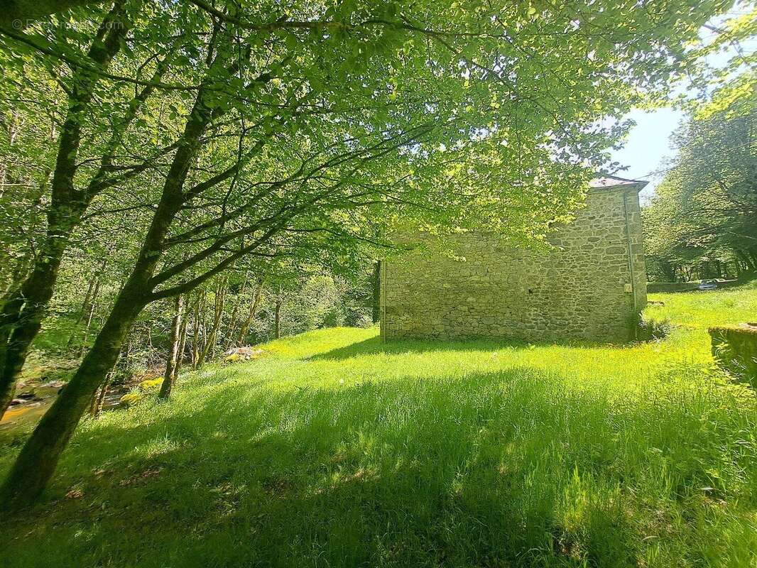 Magnifique ancien moulin rénové - La Roche Canillac - photo 11
