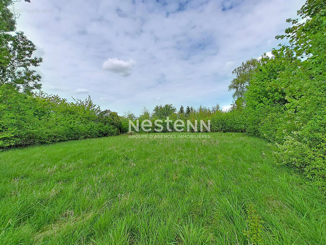 Maison à ANGERVILLE