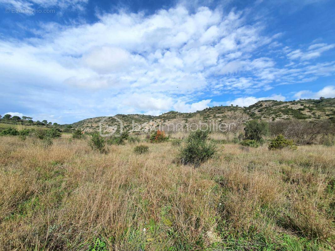 Terrain à ESTAGEL