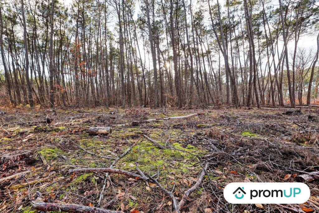 Terrain à VILLEFRANCHE-SUR-CHER