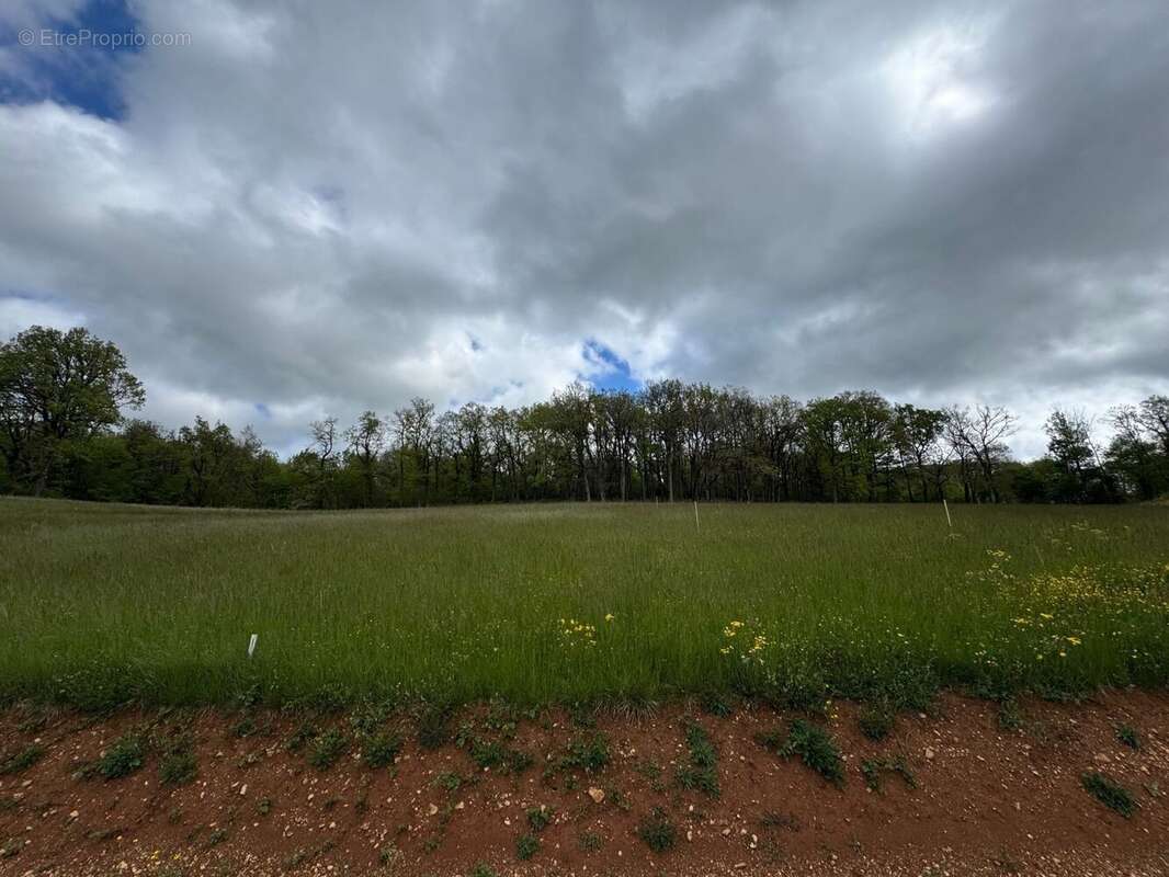 Terrain à BERTHOLENE