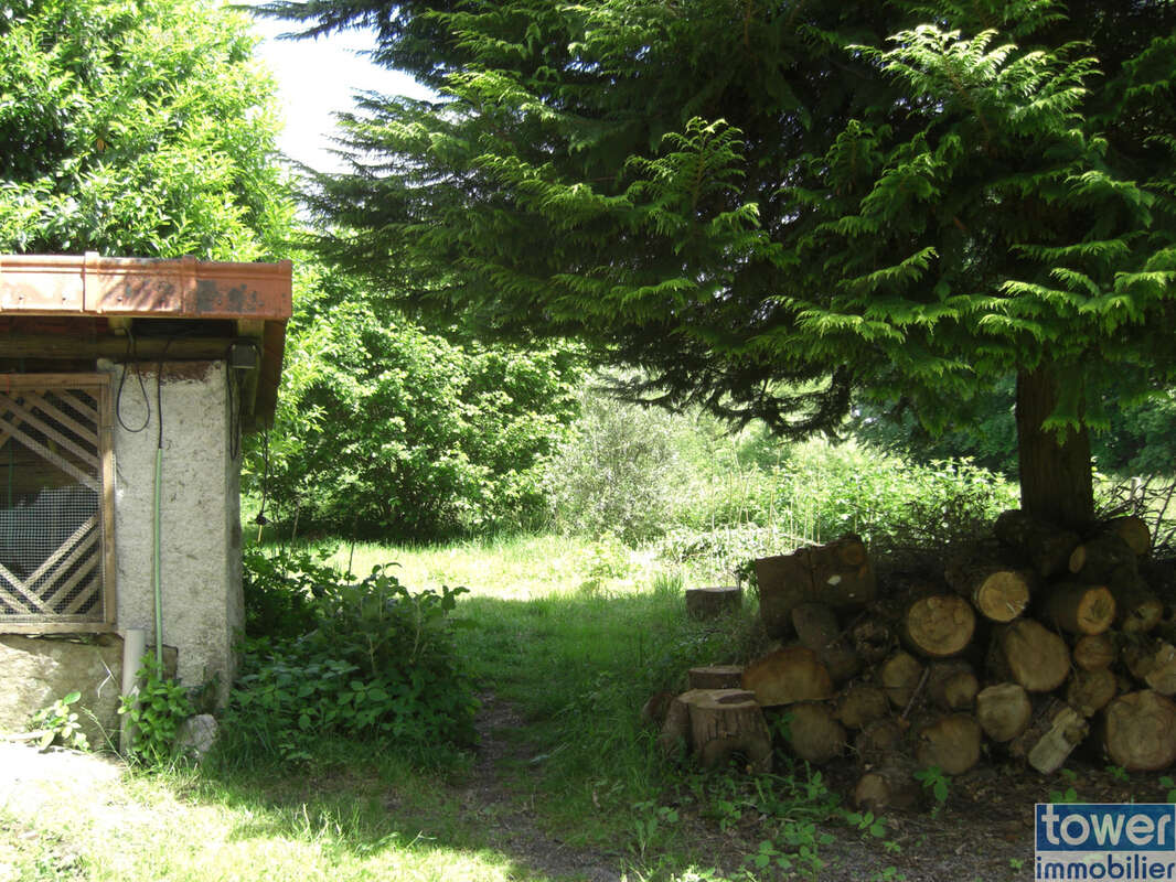 Terrain constructible 1800m2 et son atelier  autonome 8 panneaux solaires Miallet 24450 - photo 6