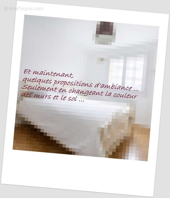 Maison à LA MONNERIE-LE-MONTEL