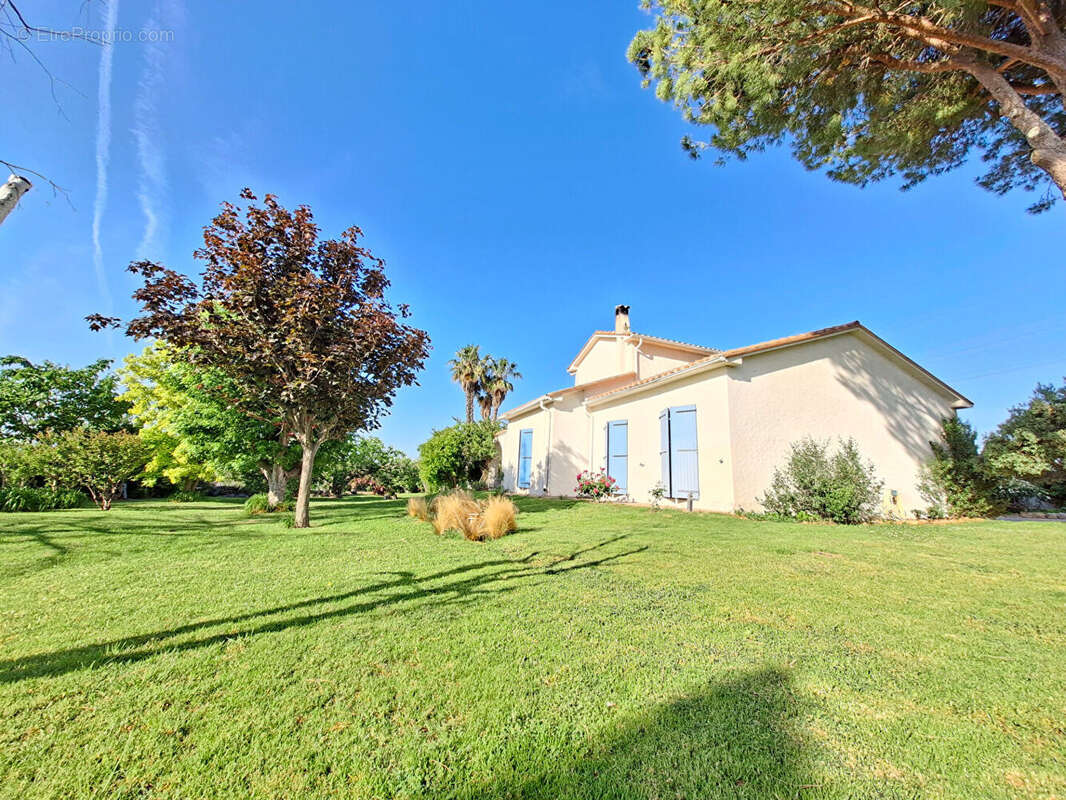 Perpignan SUD Villa 4 faces de Type 5 sur 4000m2 de terrain - photo 5