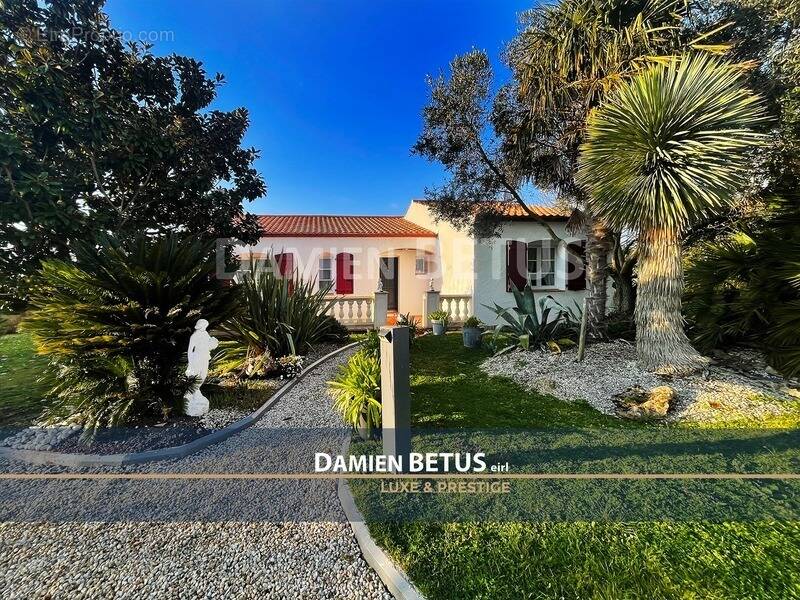 Maison à LE FENOUILLER