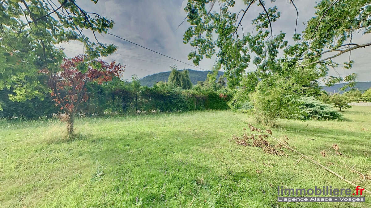 Terrain 3350 m² à Nayemont-Les-Fosses  - photo 4
