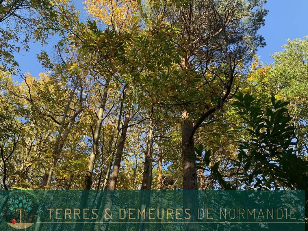 Terrain à BEUZEVILLE