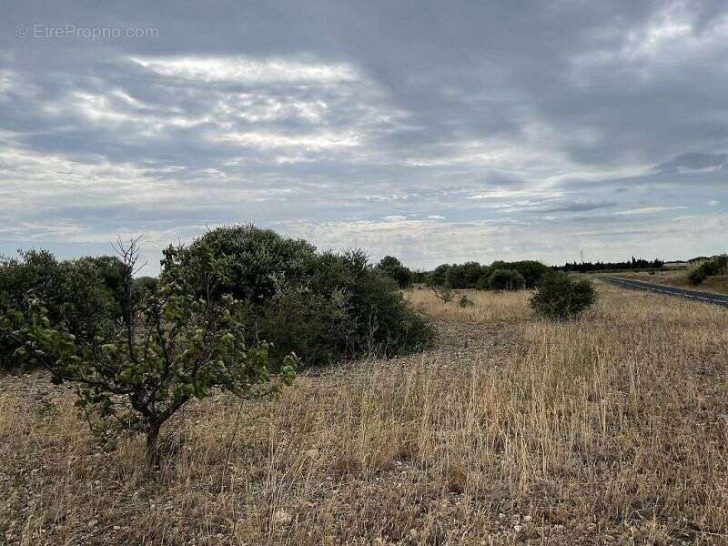 Terrain à SAINT-HIPPOLYTE