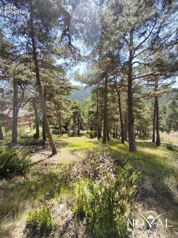 Terrain 2 346 m² à vendre à Valderoure (06750) - photo 5