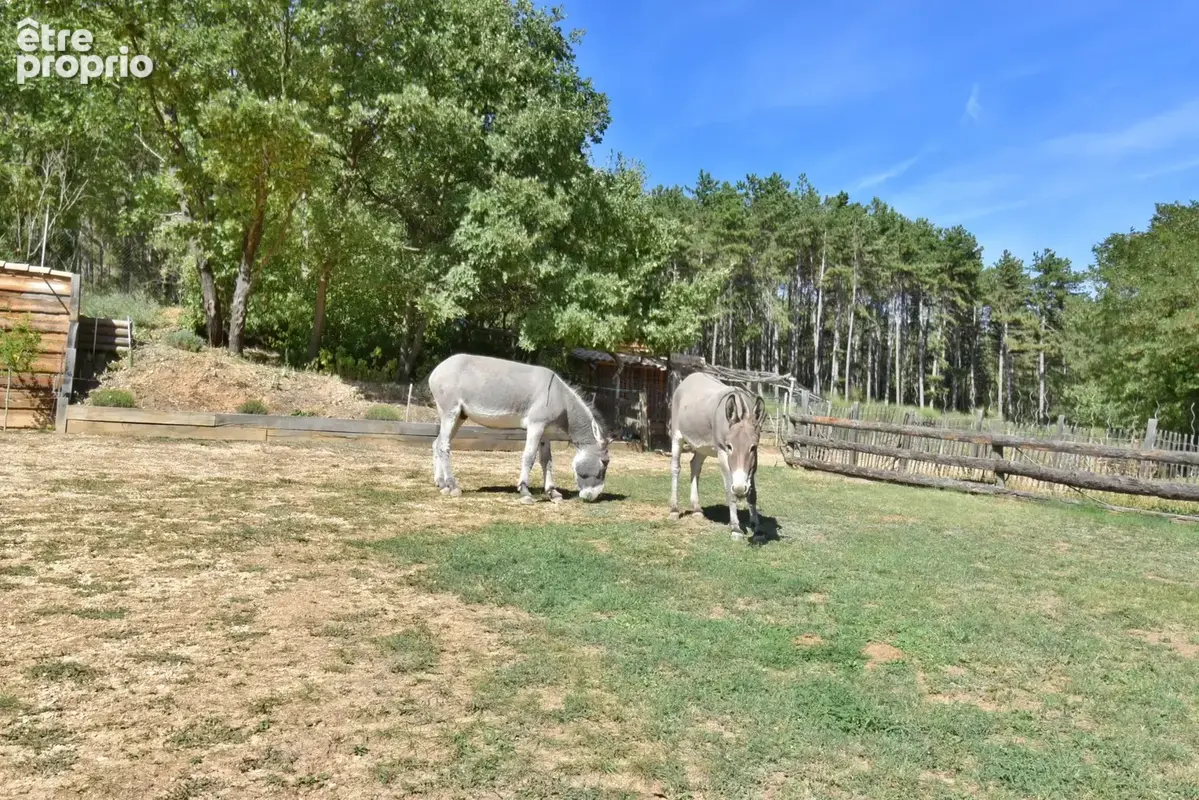 Volonne – propriété d’exception 3,5 ha – 2 habitations – piscine chauffée – vue montagnes - photo 32