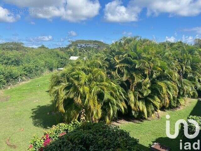 Photo 6 - Appartement à SAINT-FRANCOIS