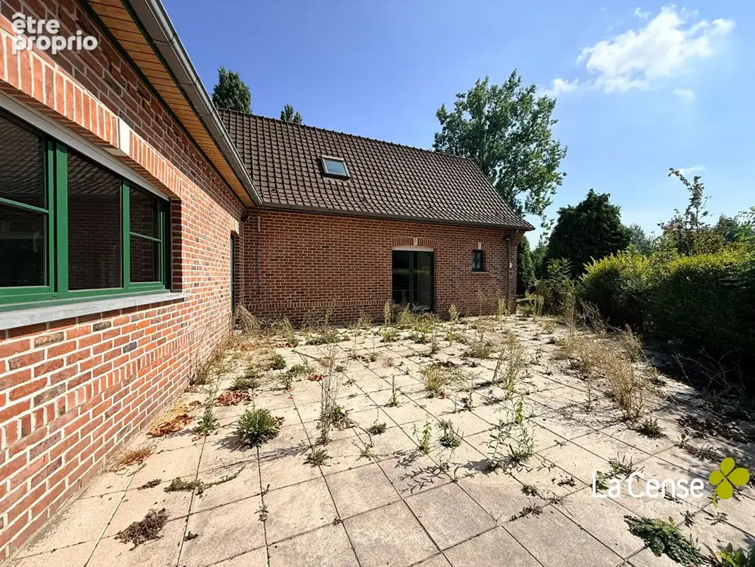 Templeuve - maison semi plain-pied batie sur 5000 m² - photo 4