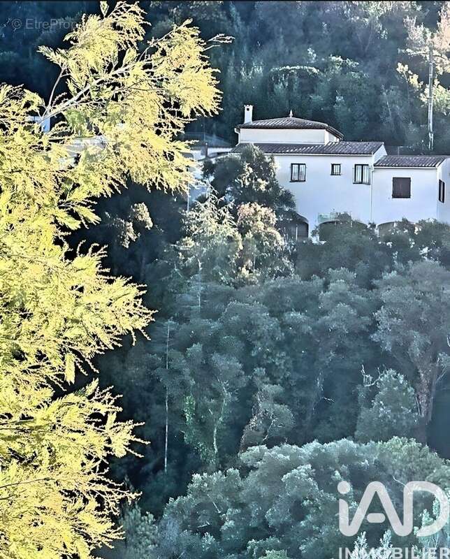 Photo 3 - Maison à MANDELIEU-LA-NAPOULE