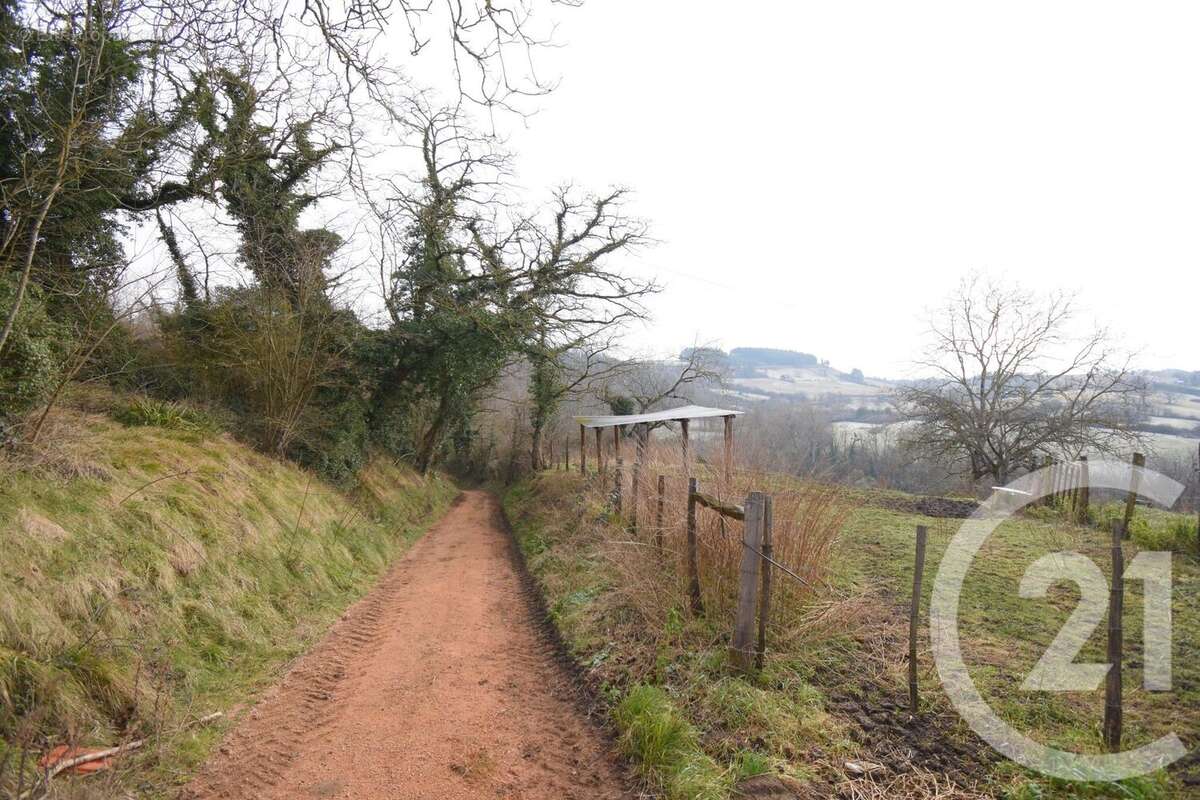 Terrain à CREUZIER-LE-VIEUX