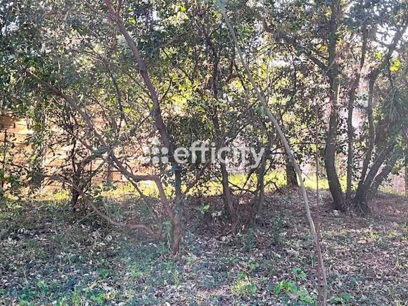 Maison à MESCHERS-SUR-GIRONDE