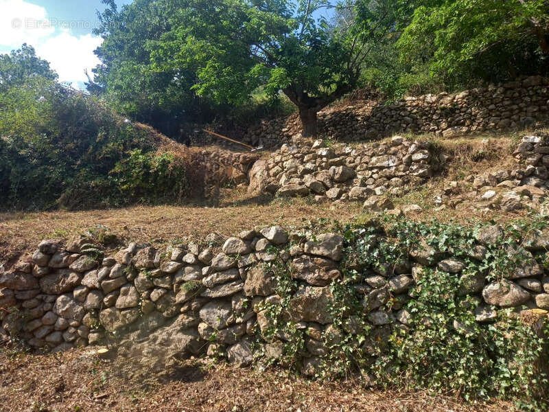 Maison à SAINT-MAURICE-EN-CHALENCON