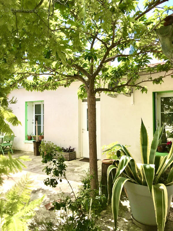 Maison à RIVEDOUX-PLAGE