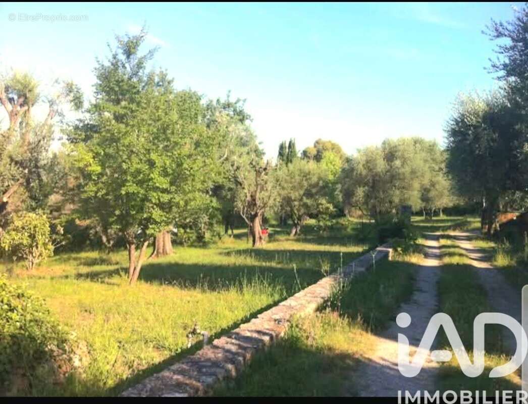 Photo 2 - Terrain à LA ROQUETTE-SUR-SIAGNE
