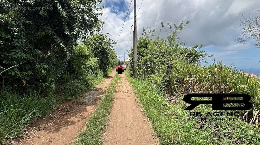 Terrain à LE CARBET