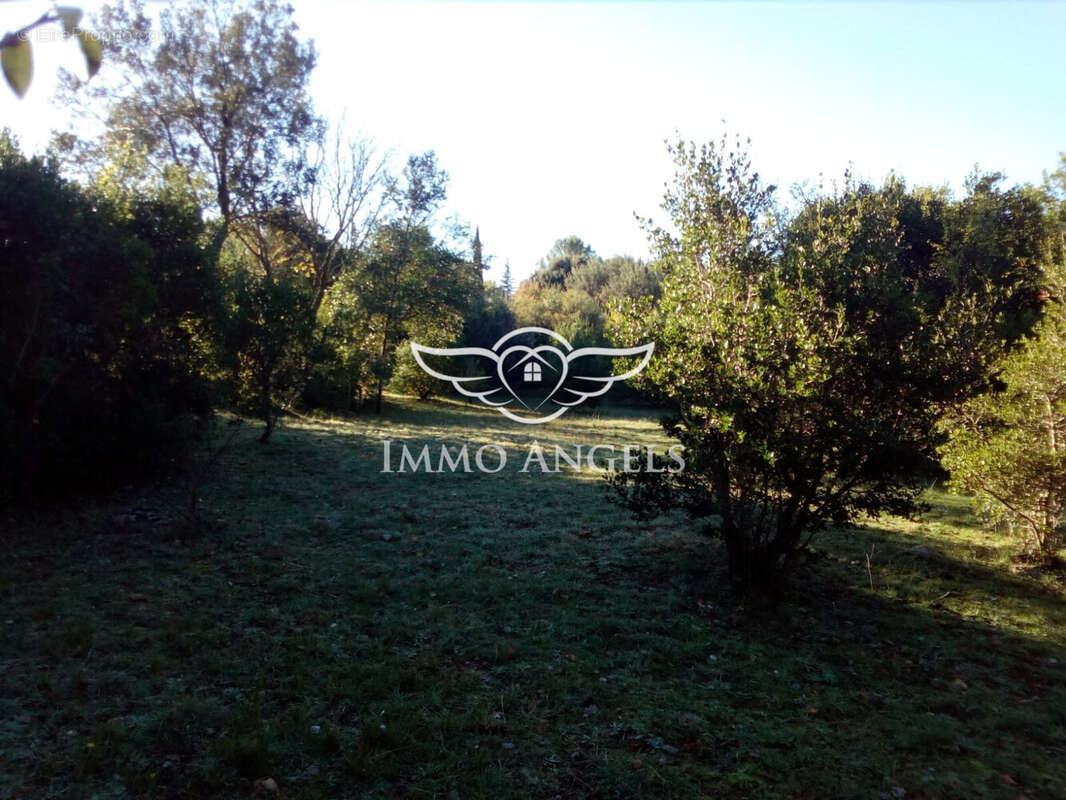 Terrain à VIOLS-EN-LAVAL