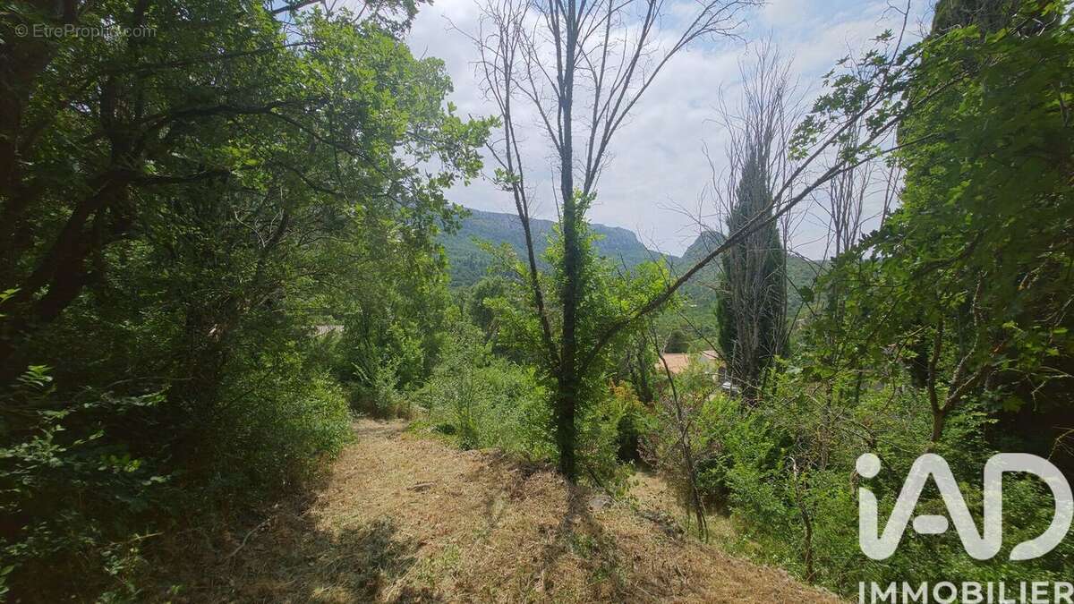 Photo 5 - Terrain à PLAN-D'AUPS-SAINTE-BAUME