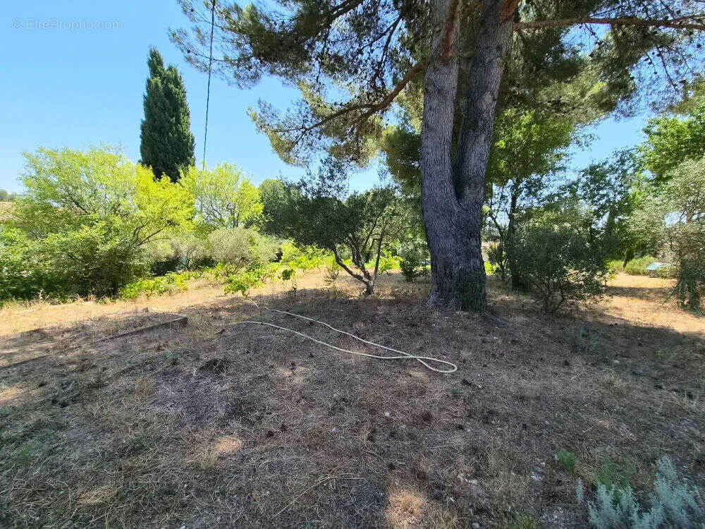 Terrain de 800 m² à bâtire avec PC purgé à ALLAUCH 13190 - photo 3