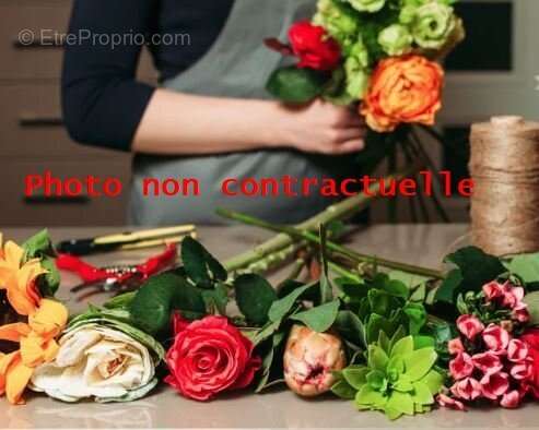 Commerce à AIX-LES-BAINS