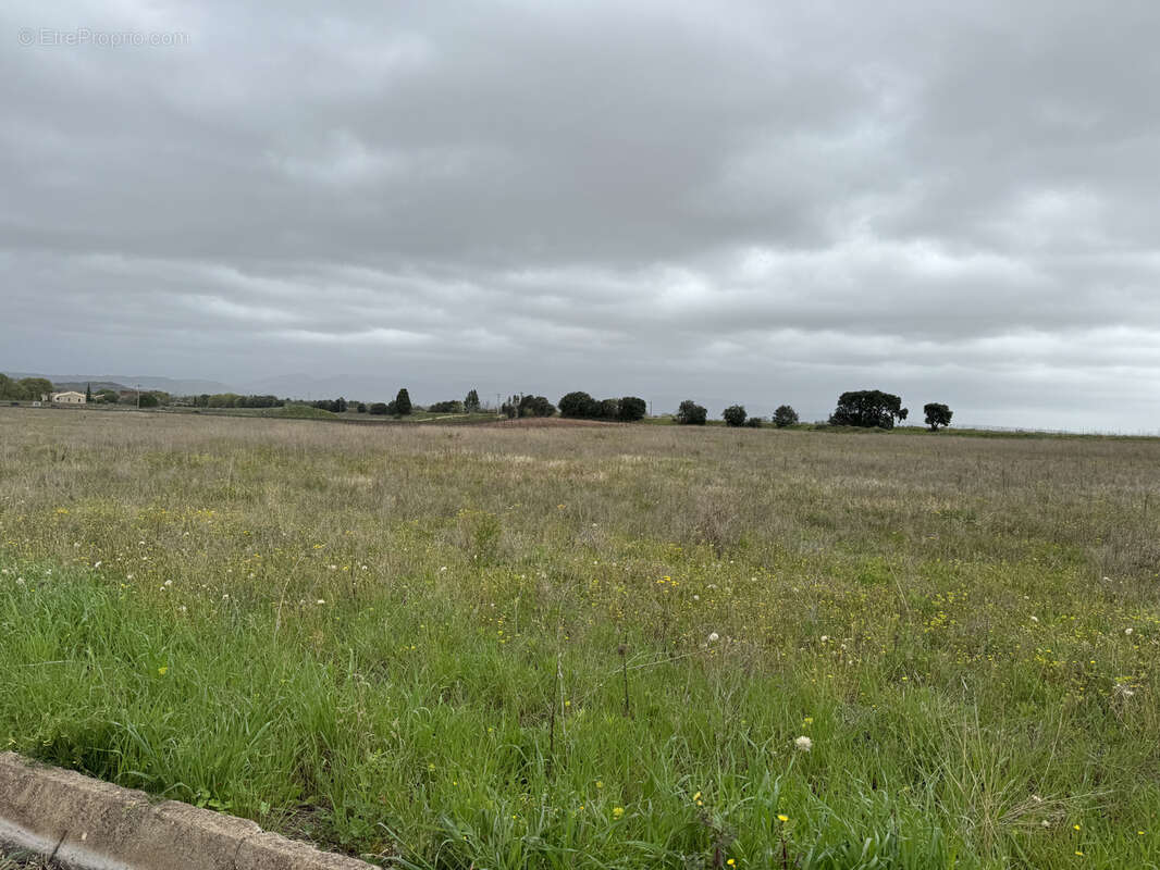 Terrain à SAINT-ANDRE-DE-SANGONIS