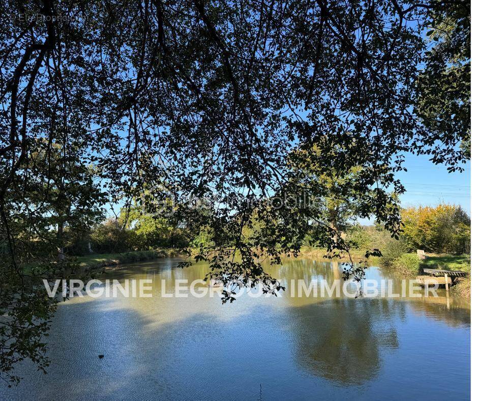 Terrain à SAINT-PIERRE-LA-COUR