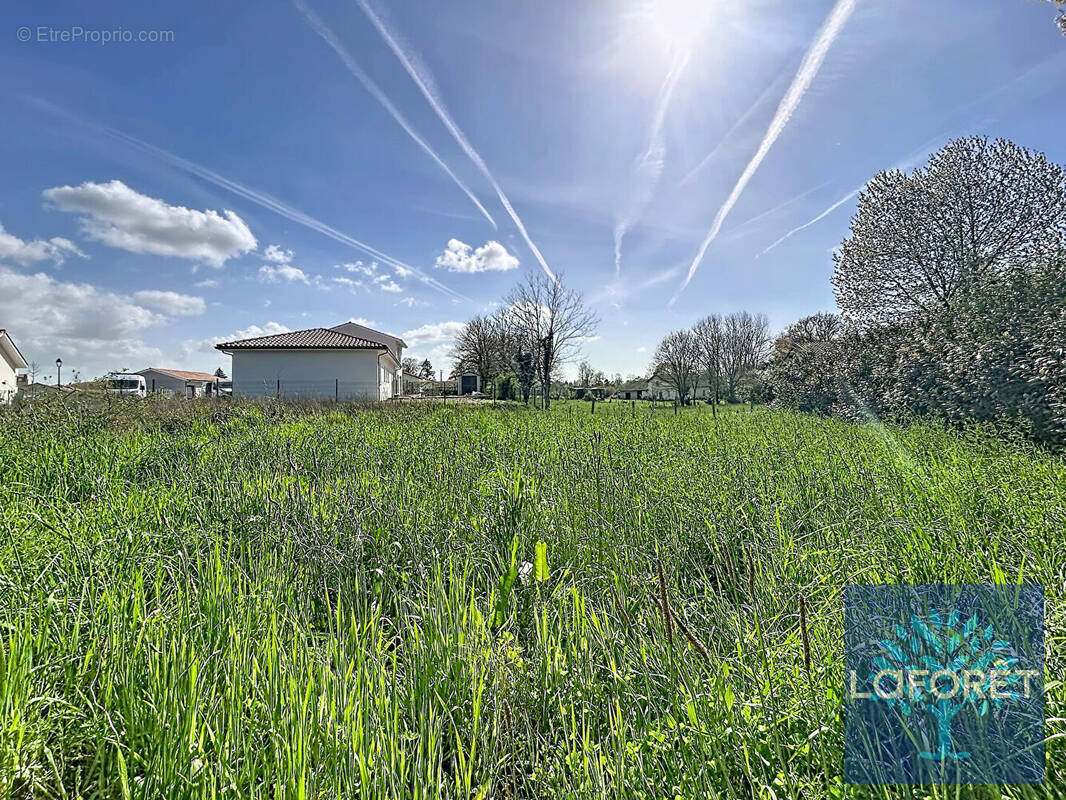 Terrain à SAINT-GEOURS-DE-MAREMNE