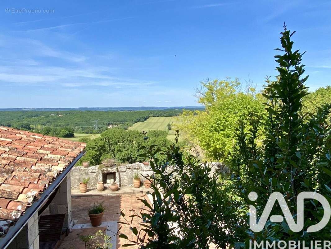 Maison 400 m² à Montagnac-Sur-Auvignon  - photo 2