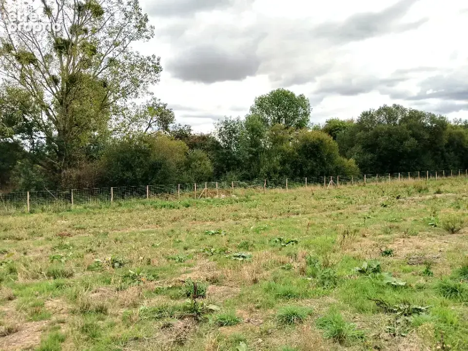 Terrain à LES HERBIERS
