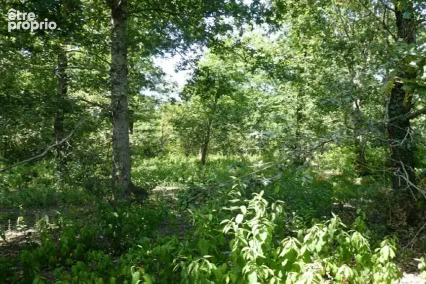Terrain 612 m² à Audenge  - photo 3