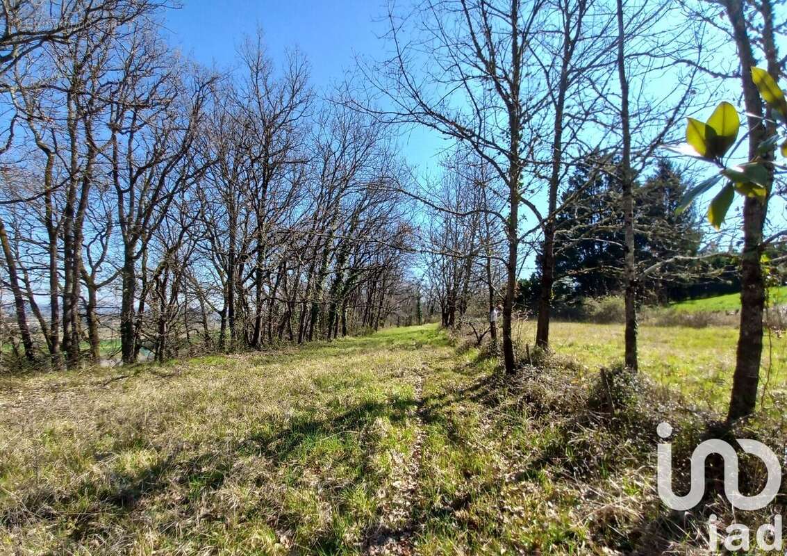 Photo 4 - Maison à SAINTE-COLOMBE-EN-BRUILHOIS