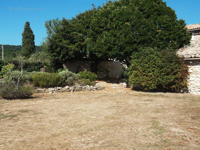 En exclusivité - Authentique bergerie Provençale du XIXème siècle à fort potentiel - photo 40