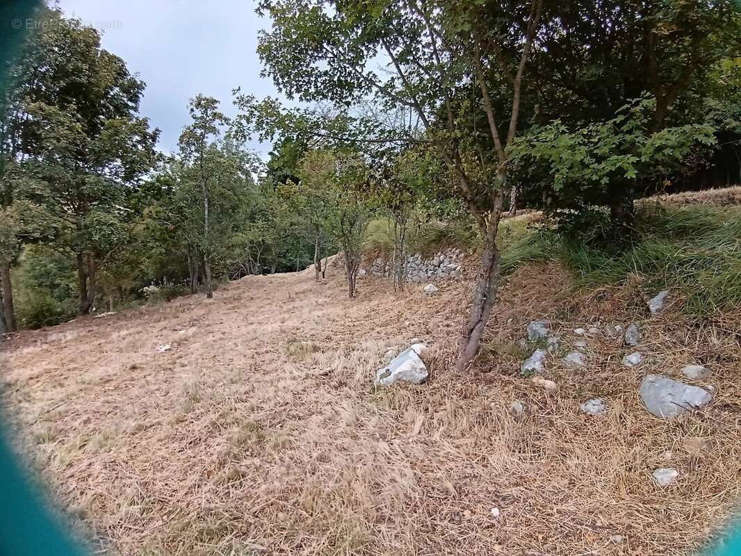 COURSEGOULES, RARE terrain constructible exposé sud - photo 9