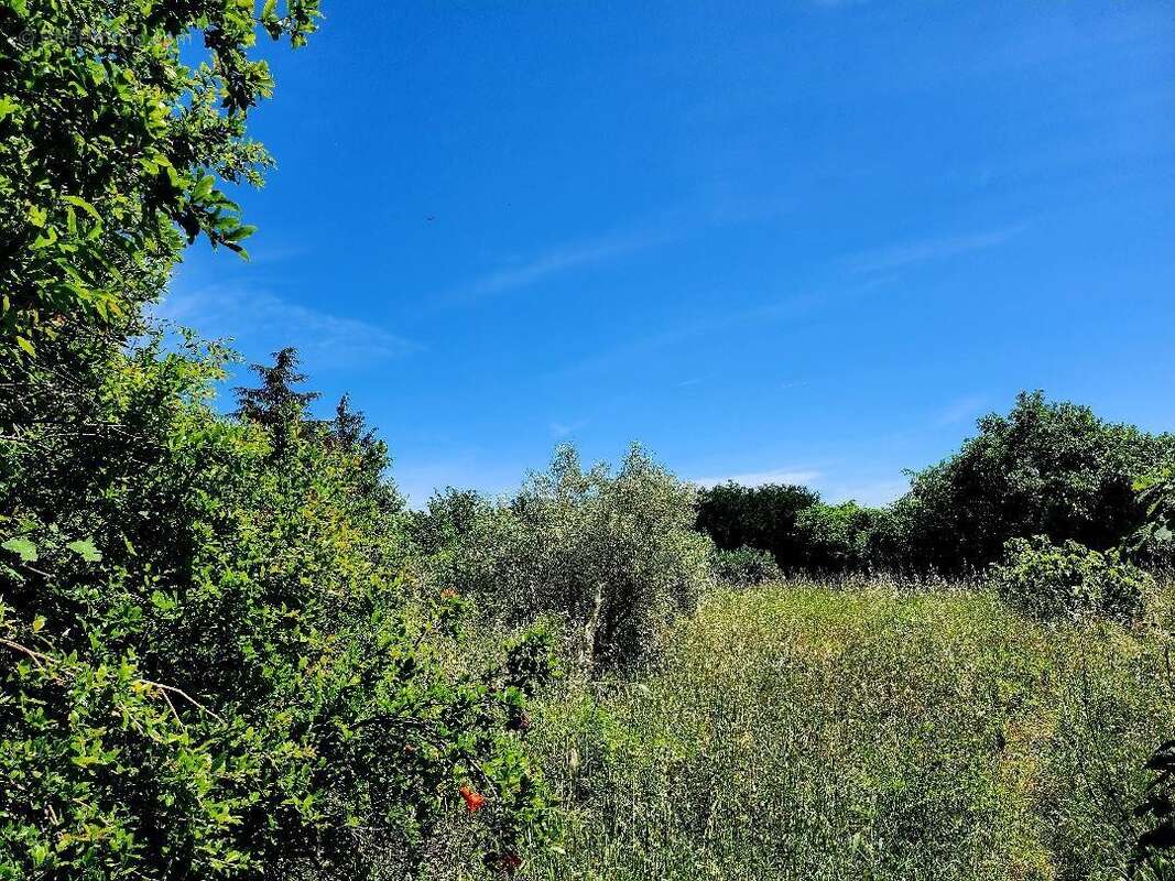 Terrain à CASSAGNOLES