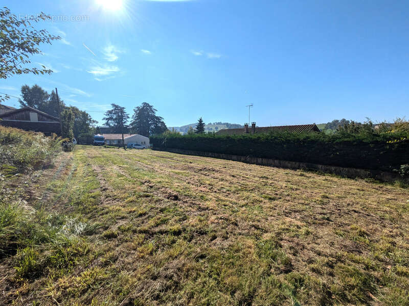 Terrain à PANISSIERES