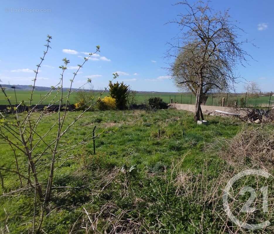 Terrain à SAINT-PATHUS