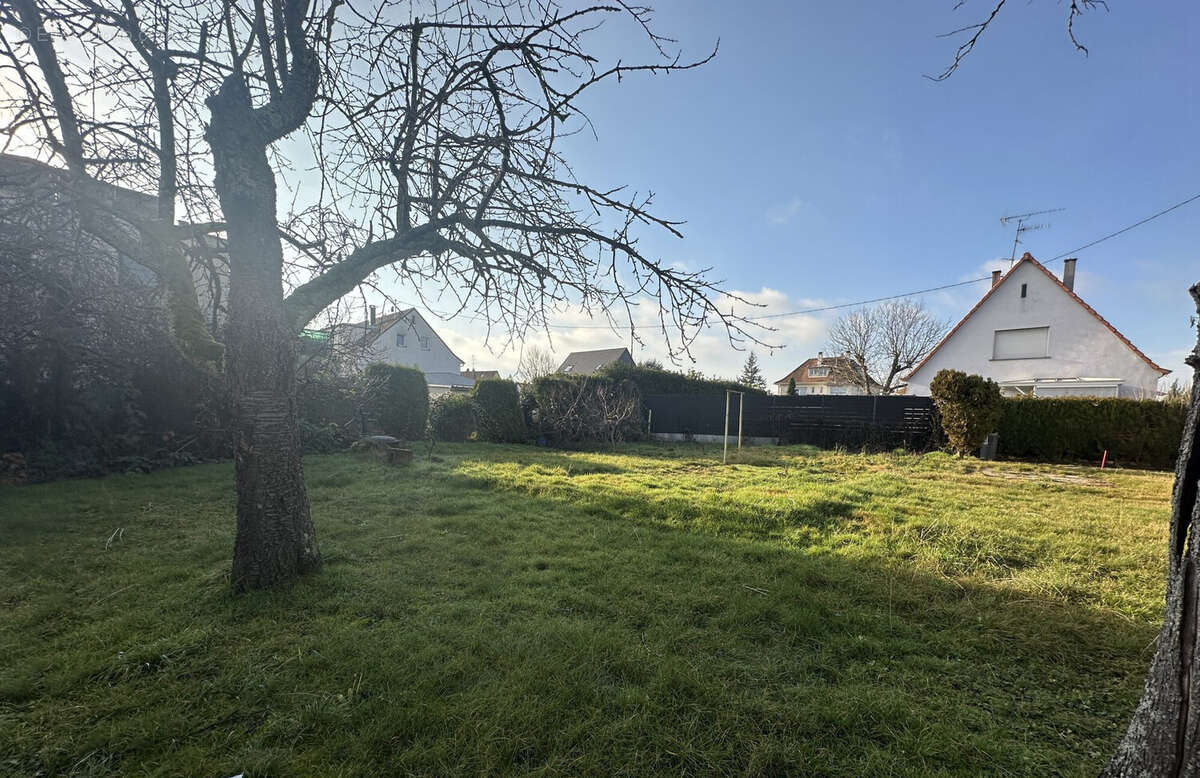 Terrain à STRASBOURG