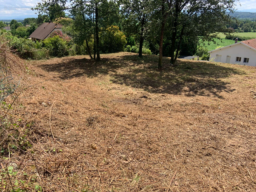 49891100c.jpg - Terrain à LABASTIDE-MONREJEAU