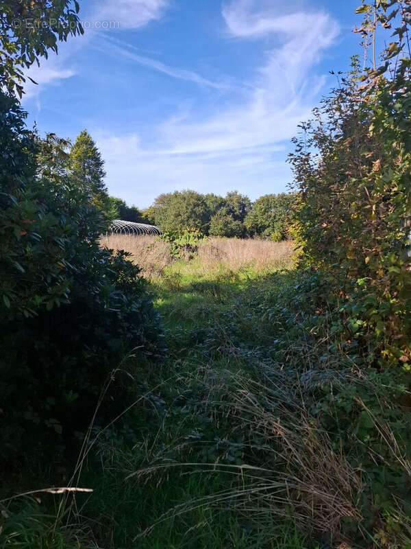 Terrain à GOURIN