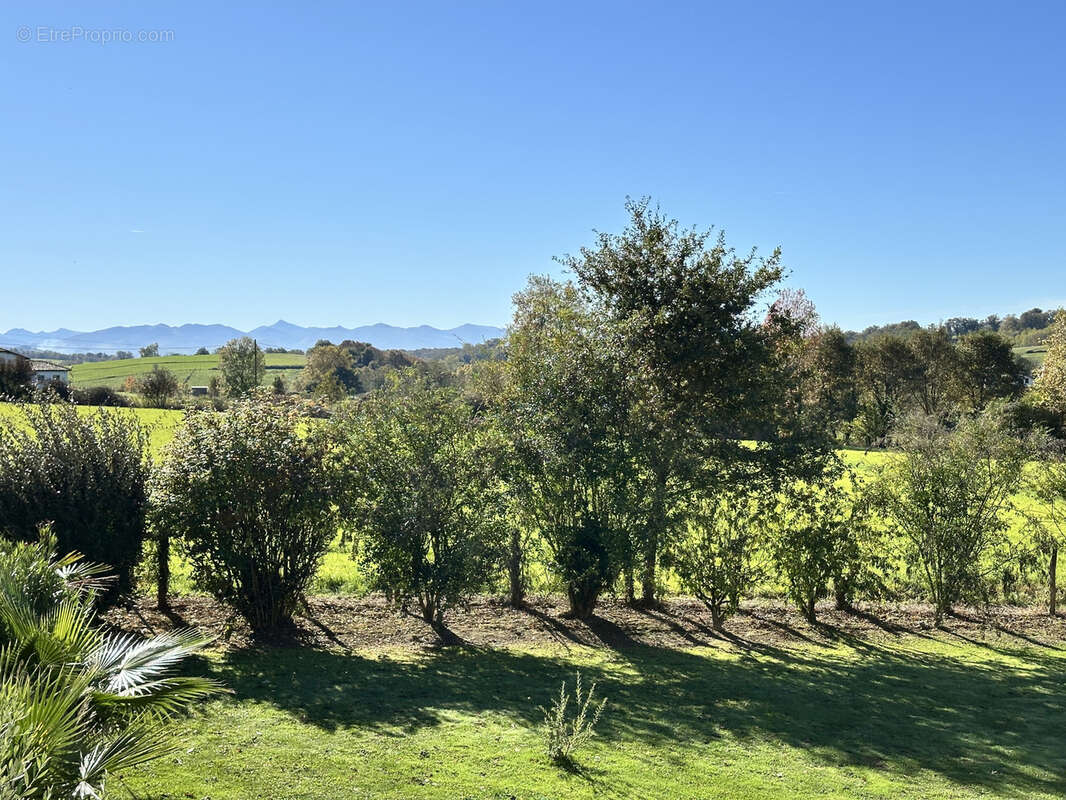 Maison à SAINT-PALAIS