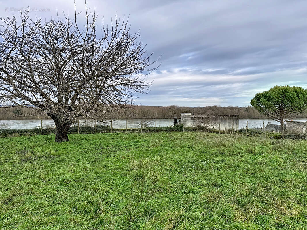 Maison à MONTSOREAU