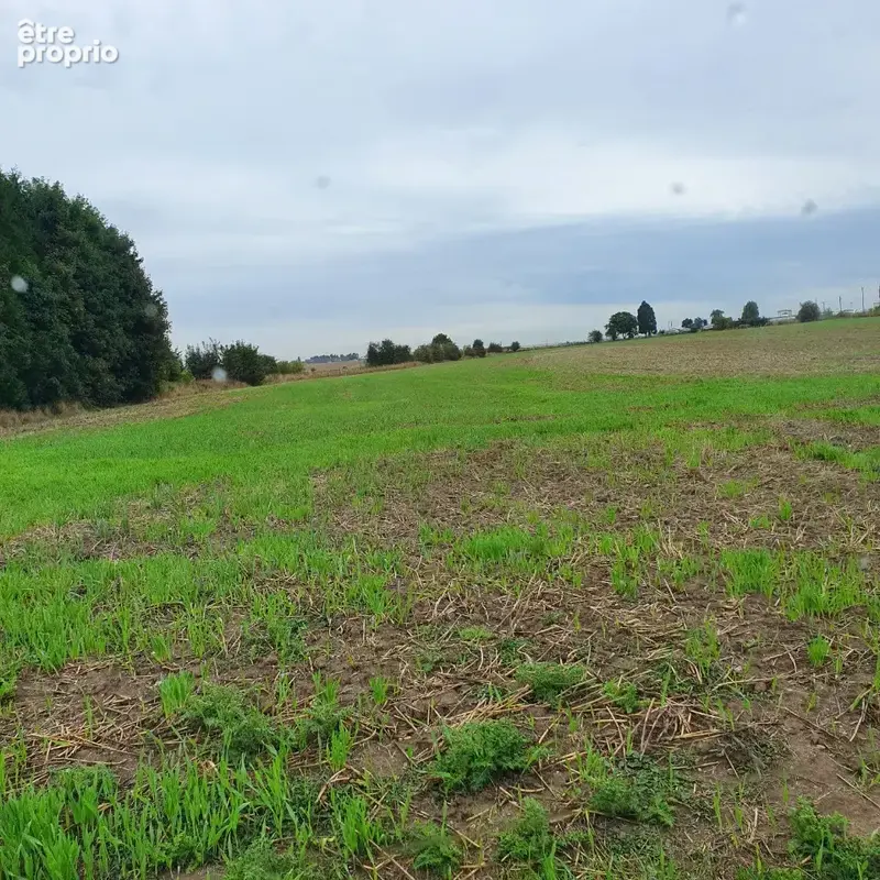 Terrain 509 m² à vendre à Ecurie (62223) - photo 2
