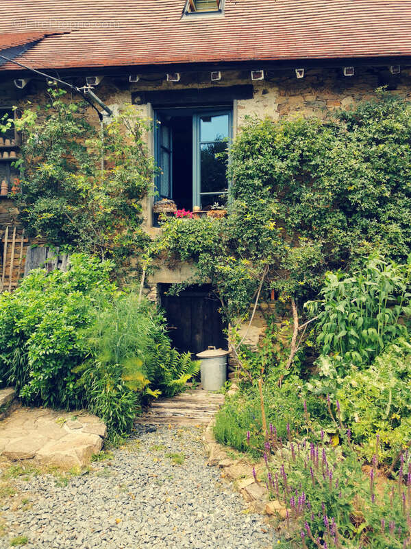 Maison d'artiste avec jardin botanique, source - Terrain 1,6 hectare - photo 21