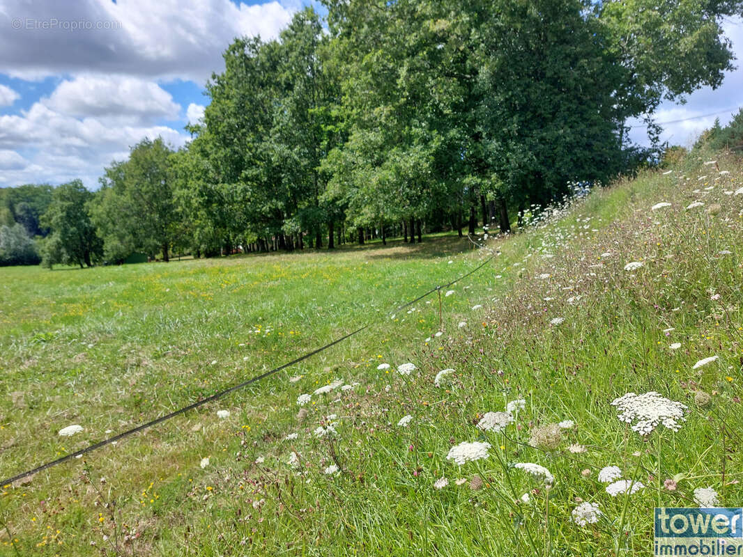Terrain à SAINT-PARDOUX-LA-RIVIERE