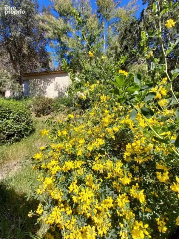 VIDAUBAN (83), villa 3 chambres, garage terrain 3115 m2 - photo 14