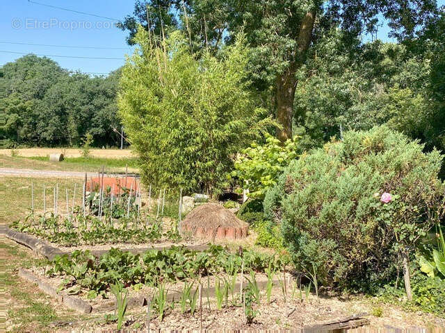 Propriété de caractère avec jardin paysager, piscine et dépendances - photo 11