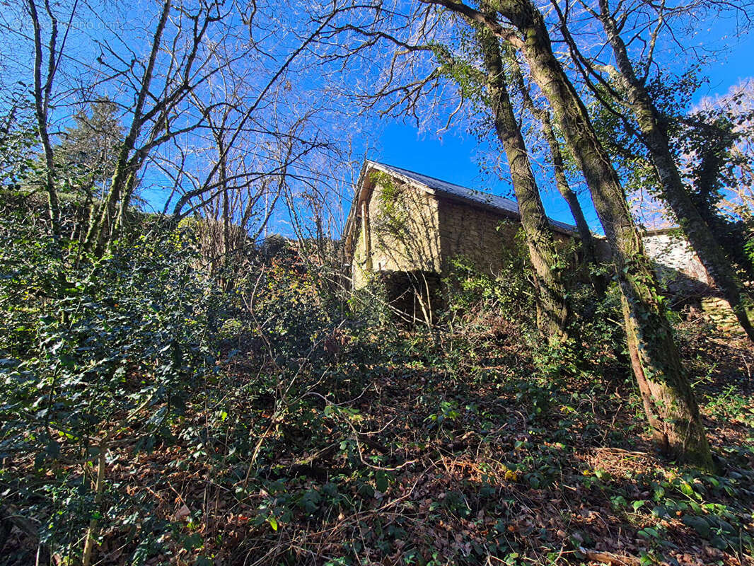 Maison à MADRANGES